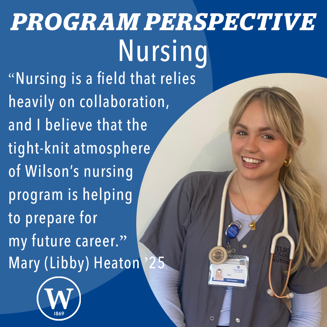 program perspective - nursing