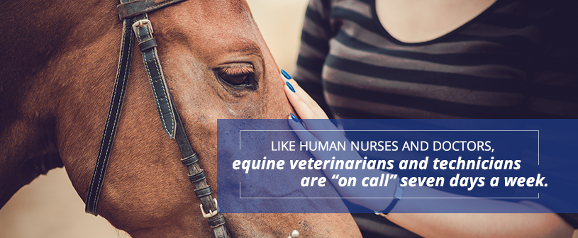 Equne Veterinarians and technicians are on call seven days a week