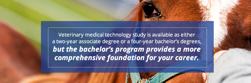 Wilson College Equine Veterinary Medical Technician Degree 