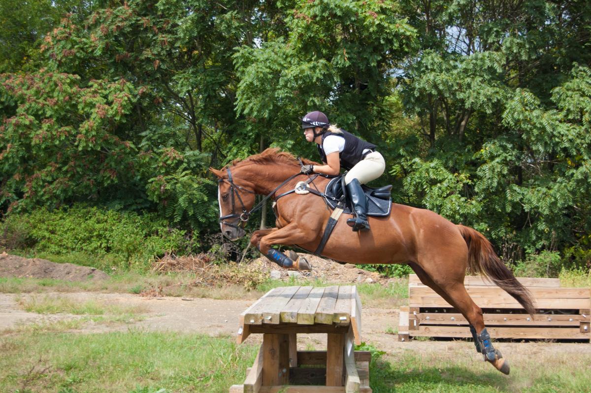 Equestrian Team