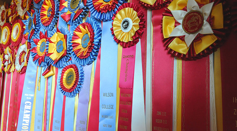 Equestrian Ribbons