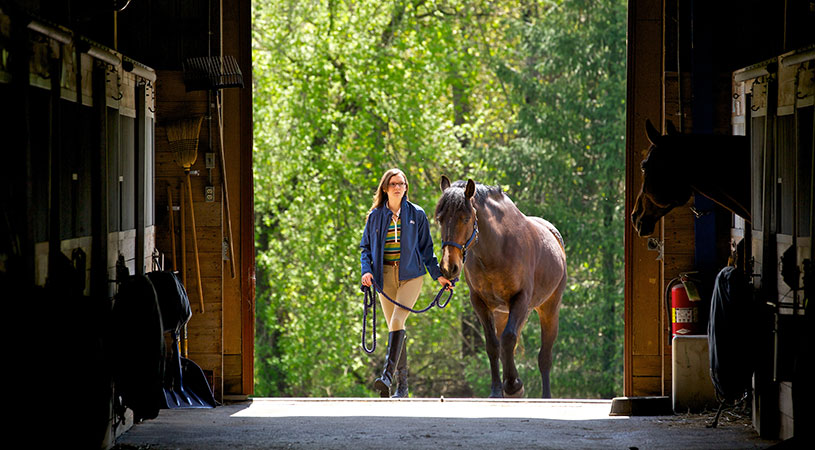 Equestrian Center