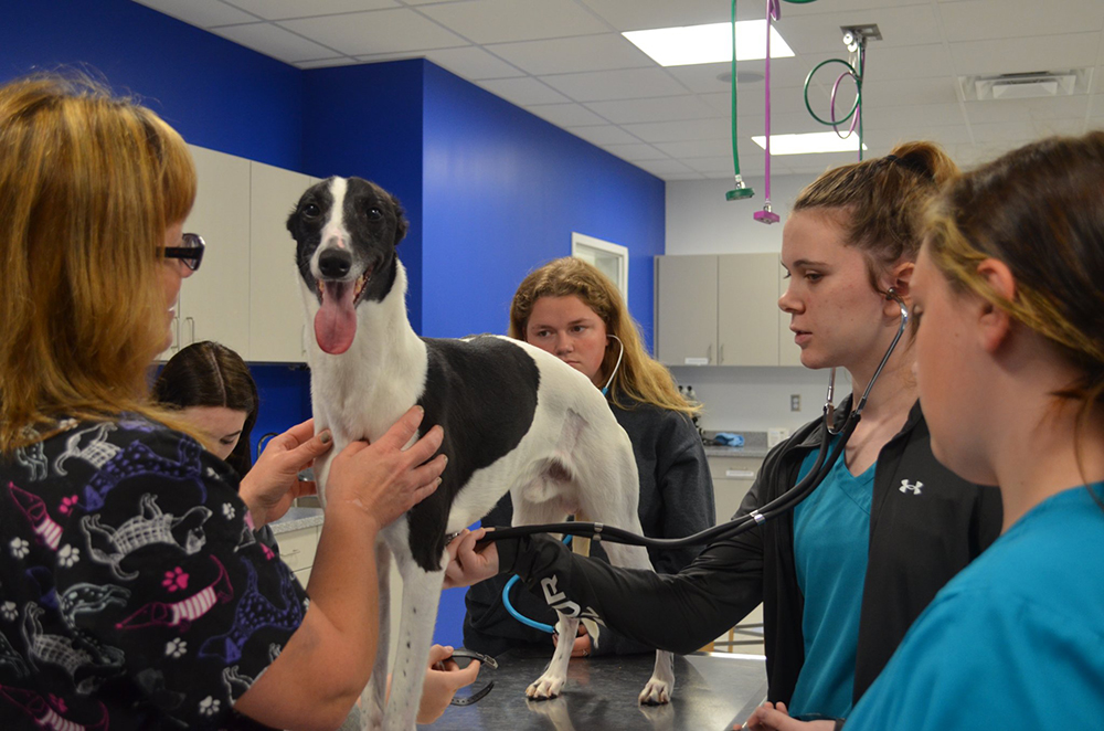 Find Your Bold Wilson Edu