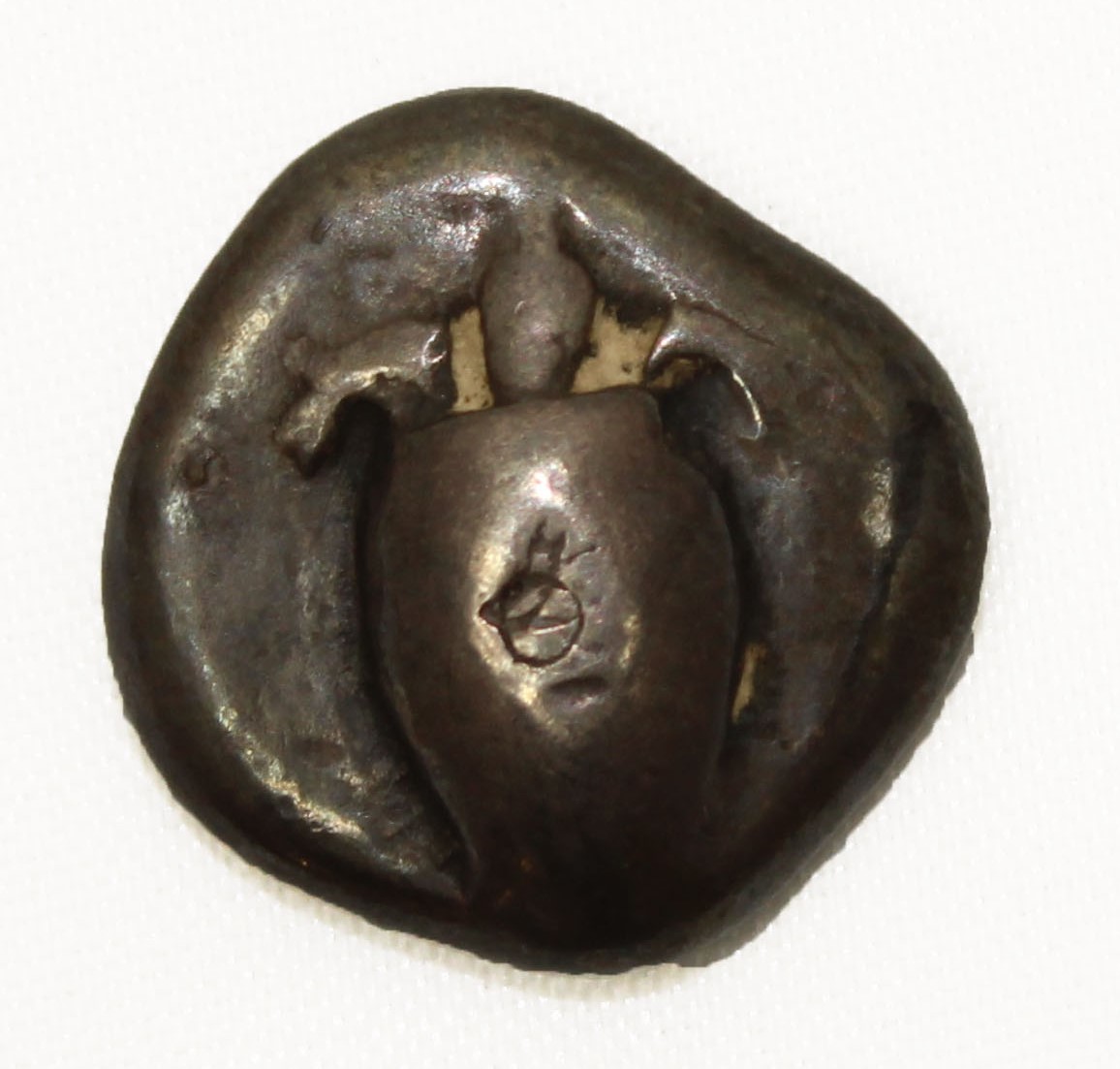 A silver stater from Aegina with a tortoise