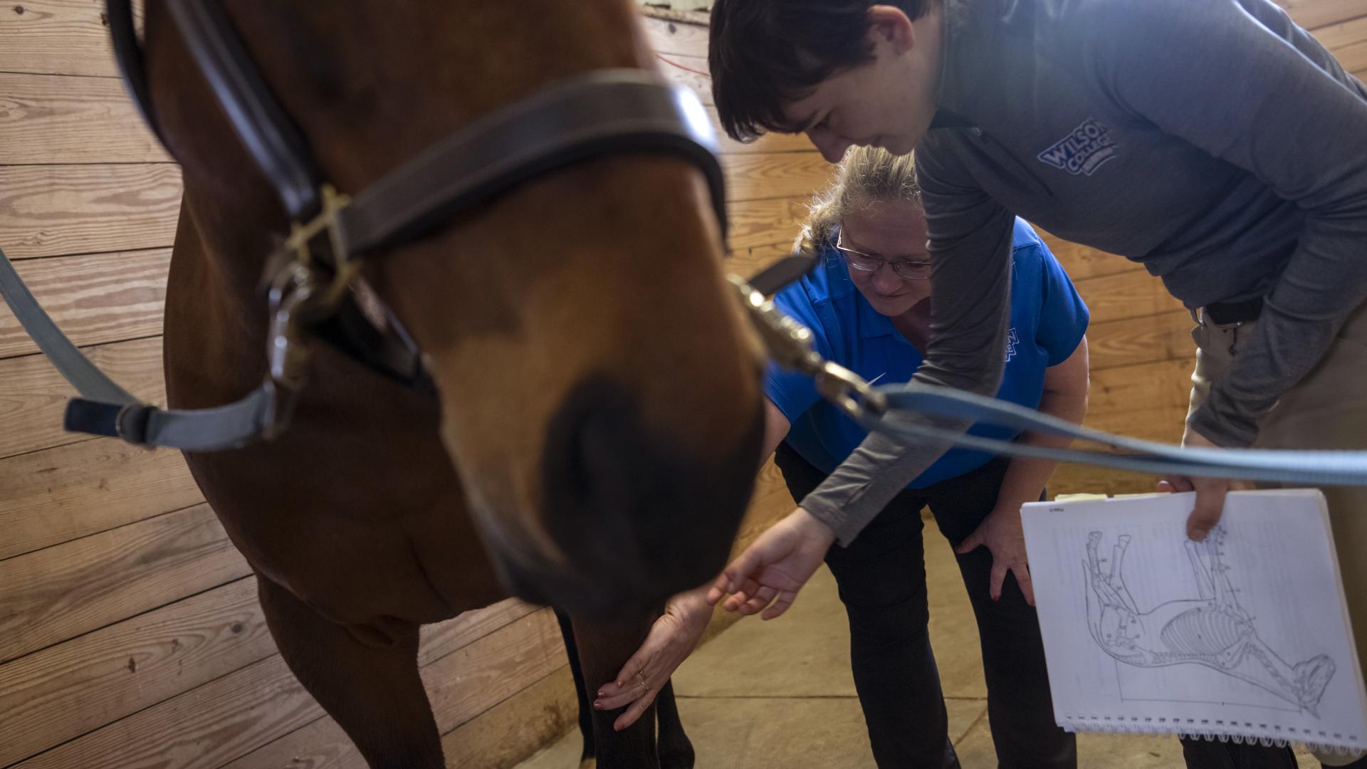 An equestrian student and professor with a horse