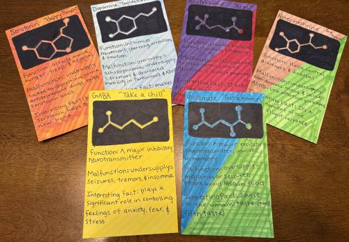 neurotransmitters trading cards