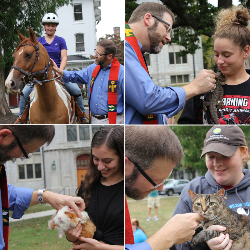 Blessing of the Animals