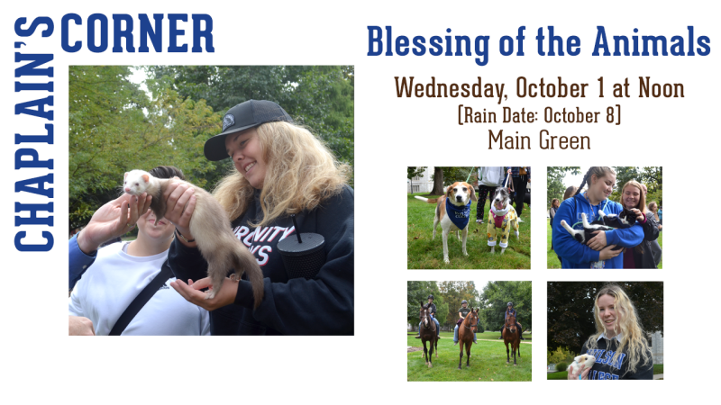 Fall Blessing of the Animals