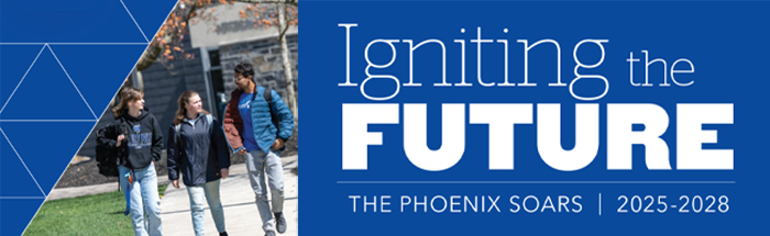 Igniting the Future: The Phoenix Soars 2025-2028