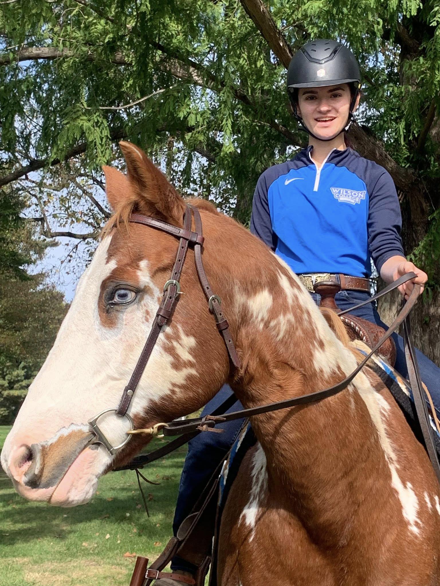 equestrian rider on a horse