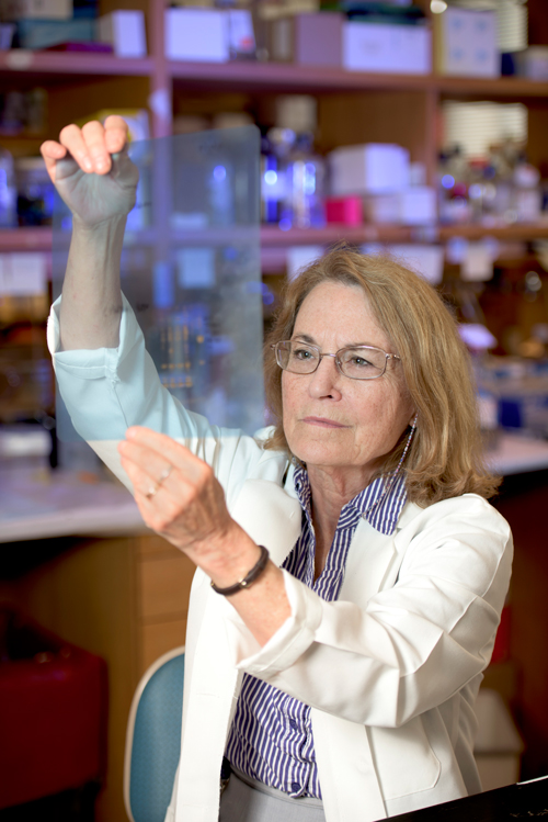 Neurogeneticist Xandra O. Breakefield ‘64